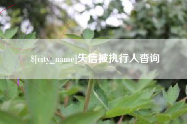 宿州失信被执行人杳询