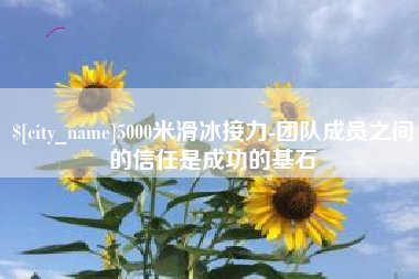 宿州5000米滑冰接力-团队成员之间的信任是成功的基石