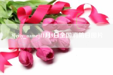 宿州11月9日全国消防日图片