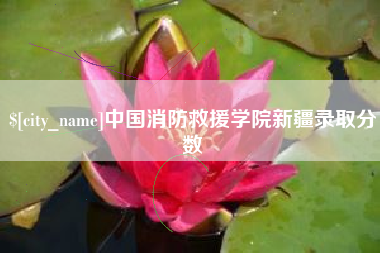 宿州中国消防救援学院新疆录取分数