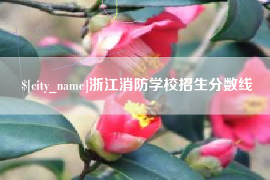 宿州浙江消防学校招生分数线