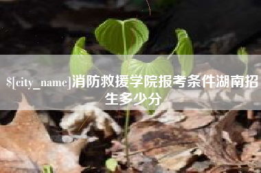 宿州消防救援学院报考条件湖南招生多少分