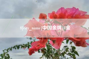 宿州中国金牌18金