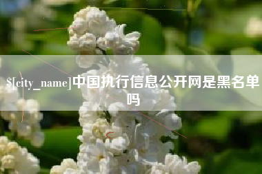 宿州中国执行信息公开网是黑名单吗