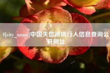 宿州中国失信被执行人信息查询公开网址