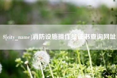 宿州消防设施操作员证书查询网址