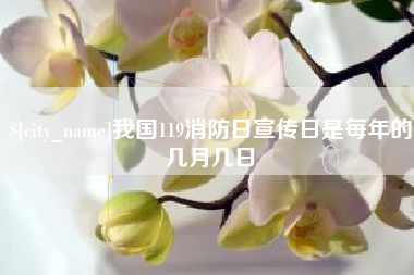 宿州我国119消防日宣传日是每年的几月几日