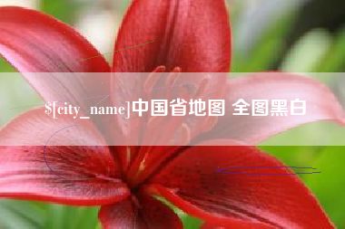 宿州中国省地图 全图黑白