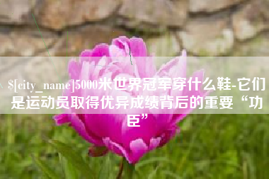 宿州5000米世界冠军穿什么鞋-它们是运动员取得优异成绩背后的重要“功臣”