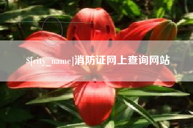 宿州消防证网上查询网站