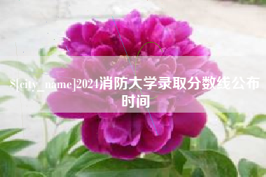 宿州2024消防大学录取分数线公布时间