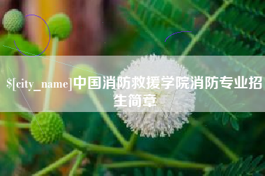 宿州中国消防救援学院消防专业招生简章