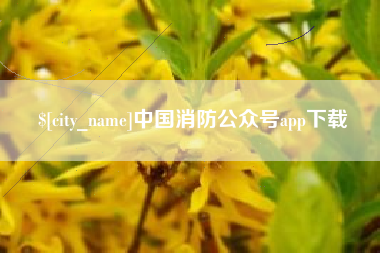 宿州中国消防公众号app下载