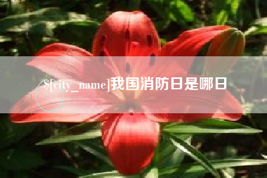 宿州我国消防日是哪日