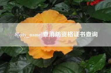 宿州查消防资格证书查询