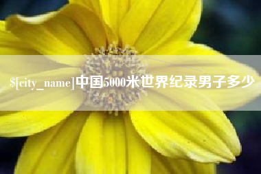 宿州中国5000米世界纪录男子多少