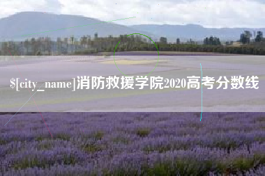 宿州消防救援学院2020高考分数线