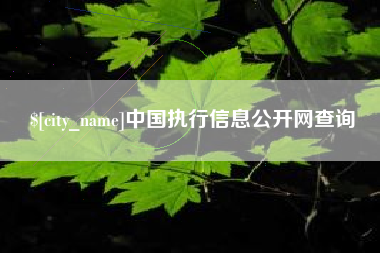 宿州中国执行信息公开网查询