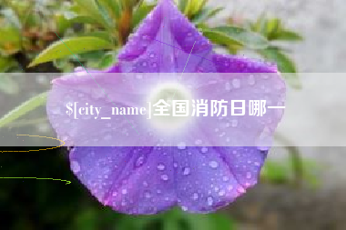 宿州全国消防日哪一