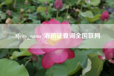 宿州消防证查询全国联网