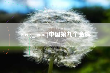 宿州中国第九个金牌