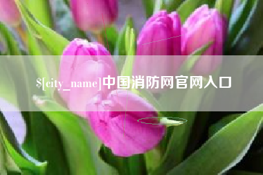 宿州中国消防网官网入口