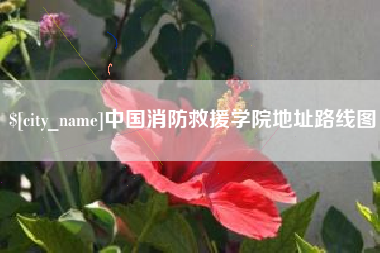 宿州中国消防救援学院地址路线图