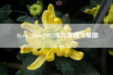 宿州2022年九宫格飞星图