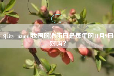 宿州我国的消防日是每年的11月9日对吗？