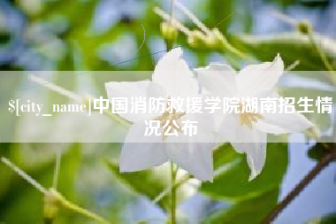 宿州中国消防救援学院湖南招生情况公布