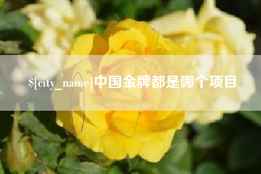 宿州中国金牌都是哪个项目