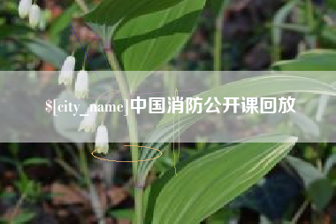 宿州中国消防公开课回放
