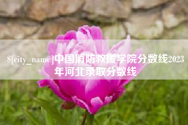 宿州中国消防救援学院分数线2023年河北录取分数线