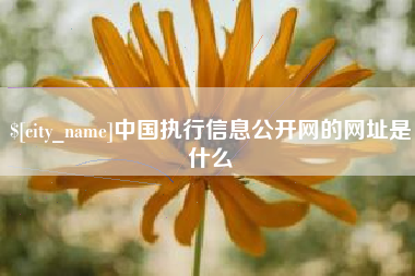 宿州中国执行信息公开网的网址是什么