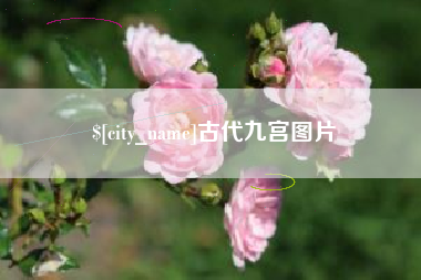 宿州古代九宫图片