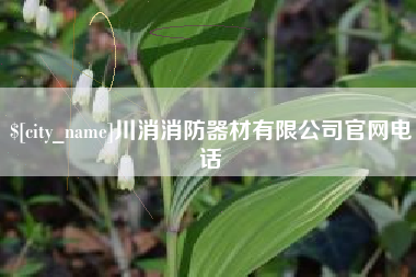 宿州川消消防器材有限公司官网电话