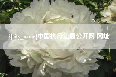 宿州中国执行信息公开网 网址