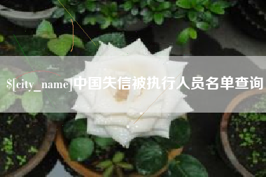 宿州中国失信被执行人员名单查询