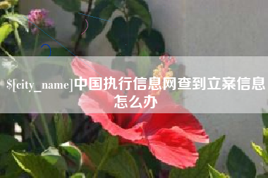 宿州中国执行信息网查到立案信息怎么办