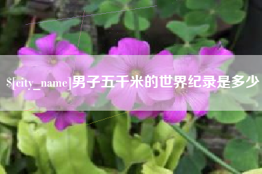 宿州男子五千米的世界纪录是多少