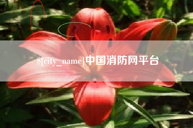 宿州中国消防网平台