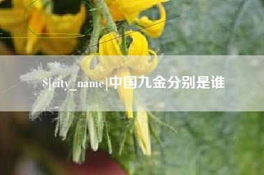 宿州中国九金分别是谁