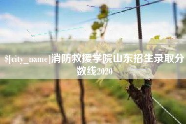 宿州消防救援学院山东招生录取分数线2020