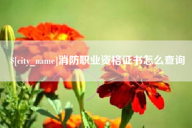 宿州消防职业资格证书怎么查询