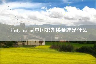 宿州中国第九块金牌是什么