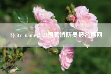 宿州2021国家消防员报名官网
