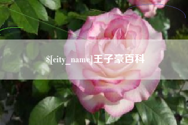 宿州王子豪百科