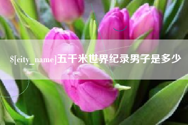 宿州五千米世界纪录男子是多少