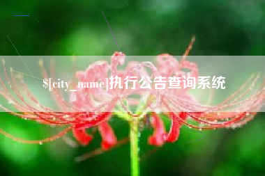 宿州执行公告查询系统