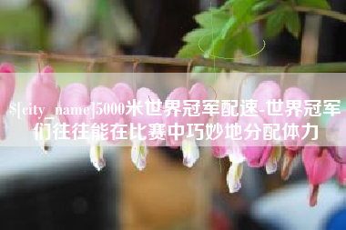 宿州5000米世界冠军配速-世界冠军们往往能在比赛中巧妙地分配体力
